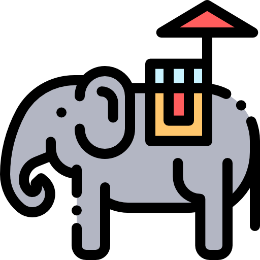 elephant_898137